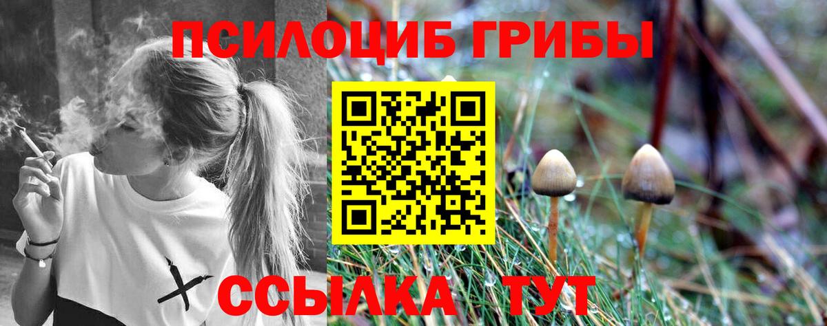 Кириши  Галлюциногенные грибы GOLDEN TEACHER  Вход с VPN  Галлюциногенные грибы прущие грибы 